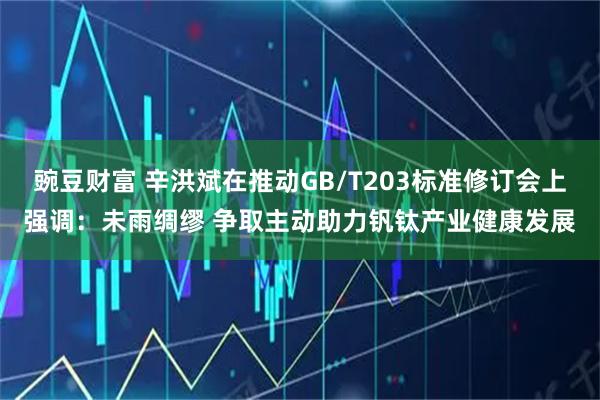 豌豆财富 辛洪斌在推动GB/T203标准修订会上强调：未雨绸缪 争取主动助力钒钛产业健康发展